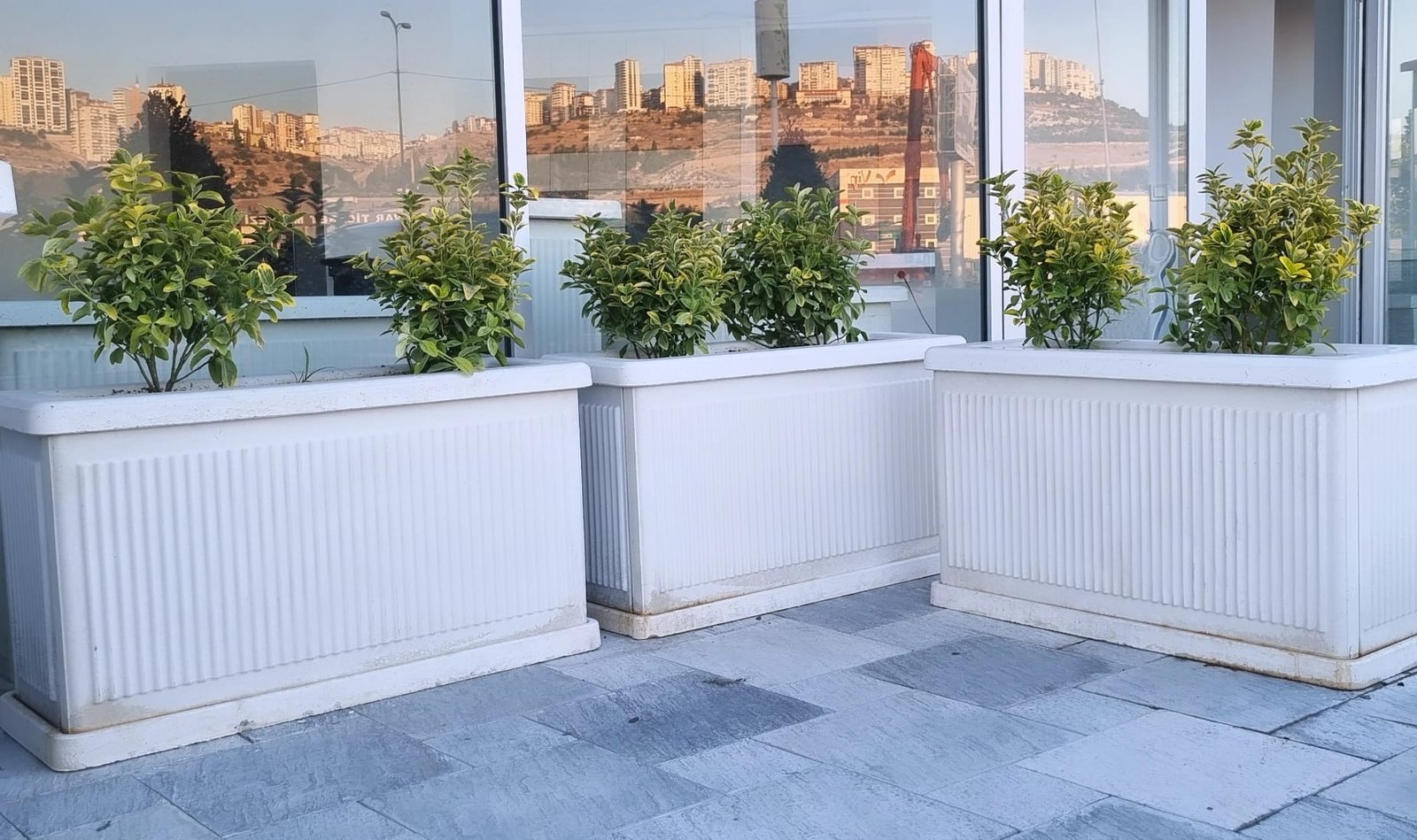 Beton Çiçeklik Çeşme ve Masa Takımları